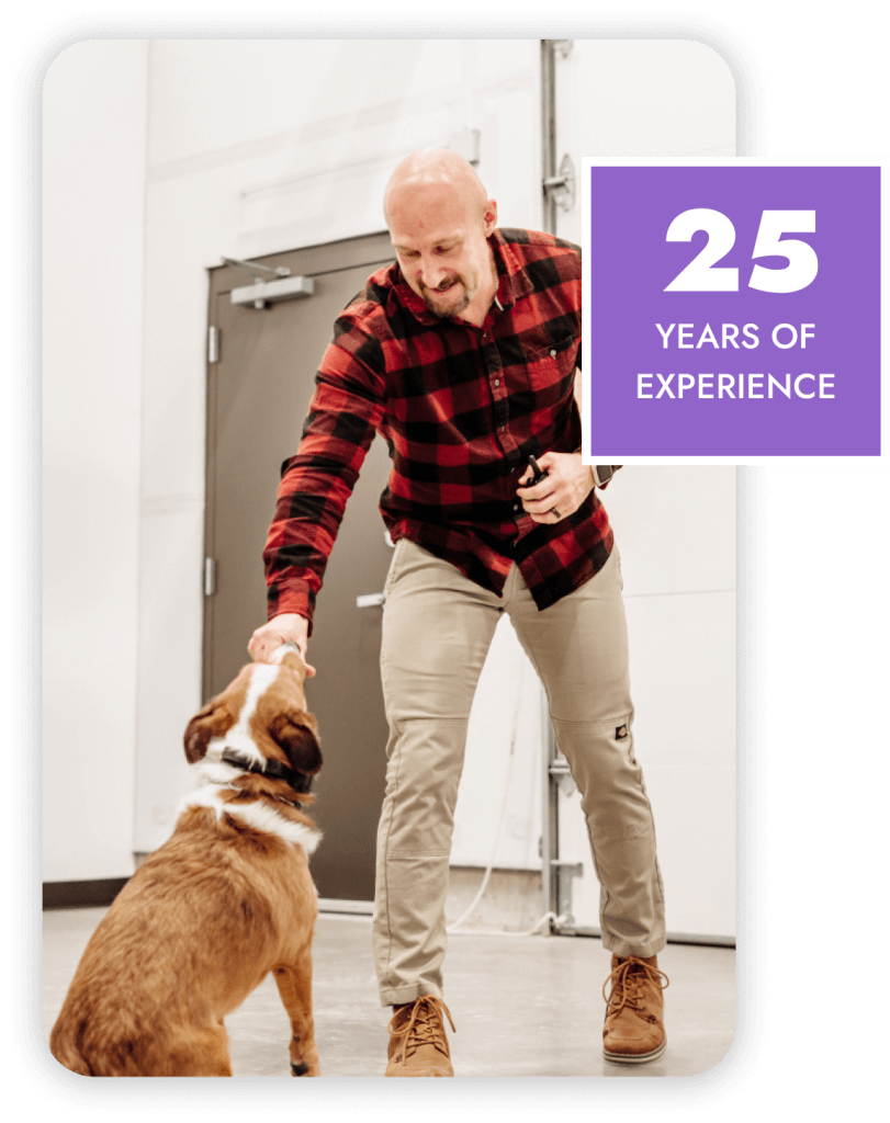 Who We Are - Dog Trainers